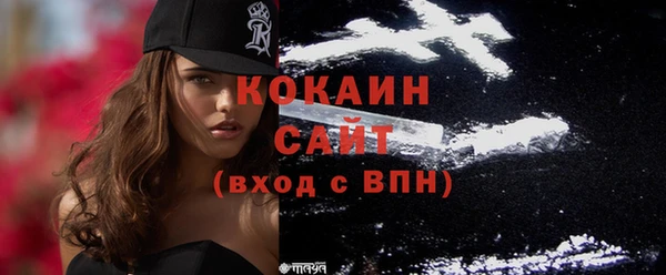 шишки Баксан
