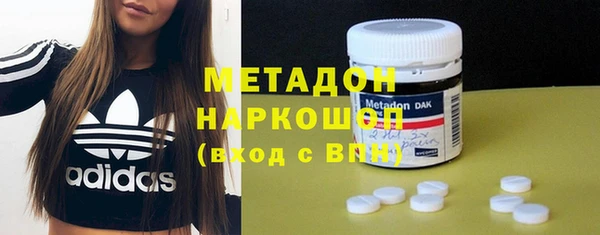 прущие грибы Арсеньев