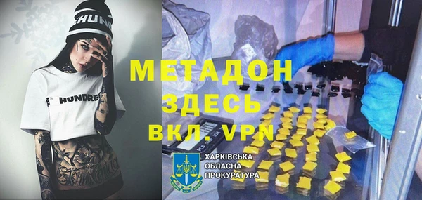 прущие грибы Арсеньев