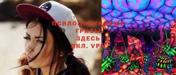 прущие грибы Арсеньев