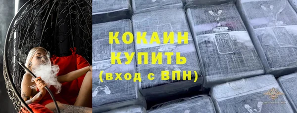 прущие грибы Арсеньев