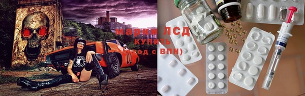 прущие грибы Арсеньев