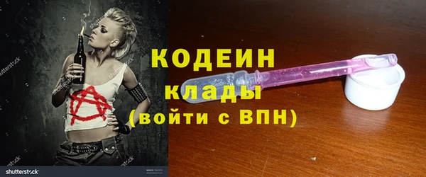 прущие грибы Арсеньев