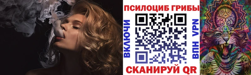 купить закладку  Заречный  Галлюциногенные грибы ЛСД 